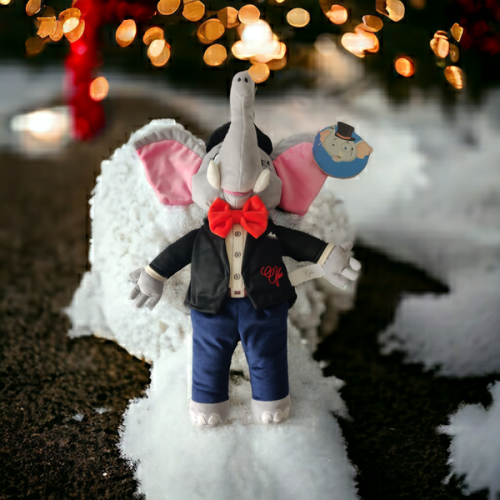 photoroom-20231221_144624